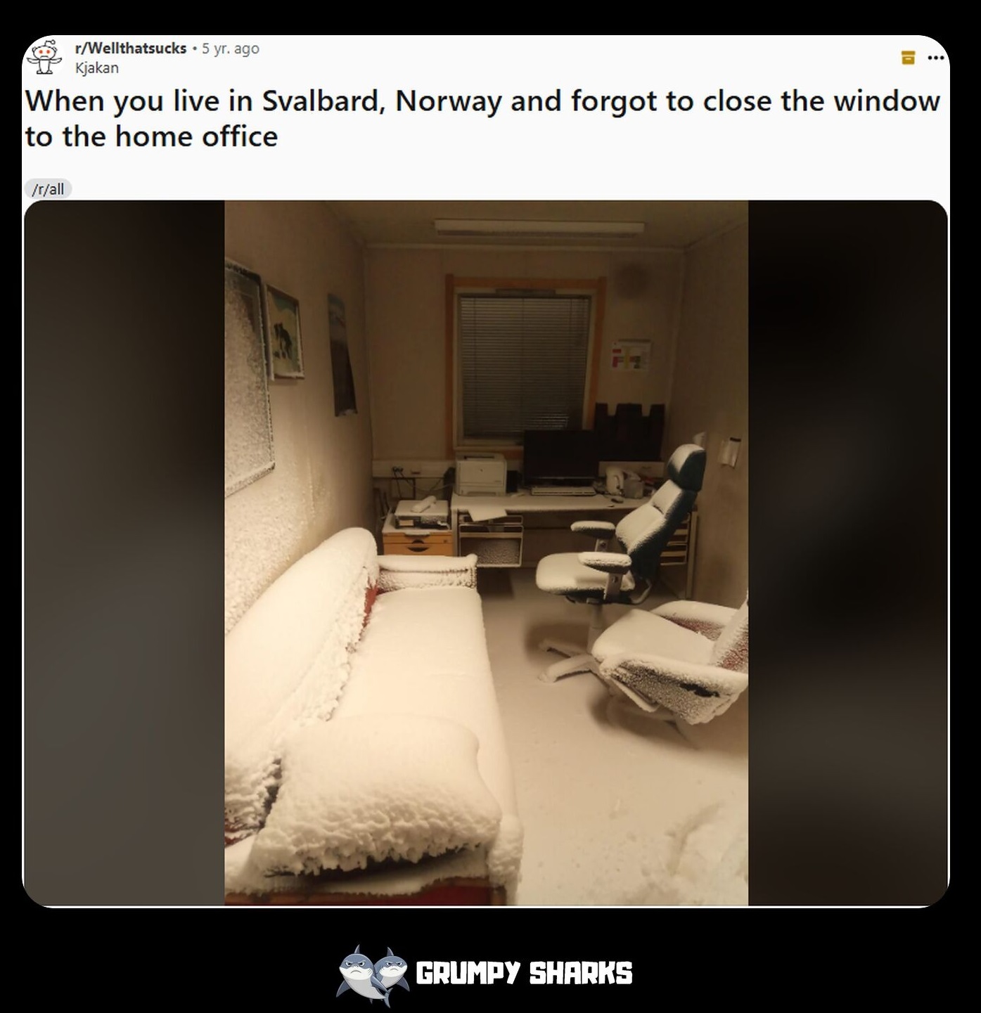 Fails: The Hilarious Mishaps We All Relate To