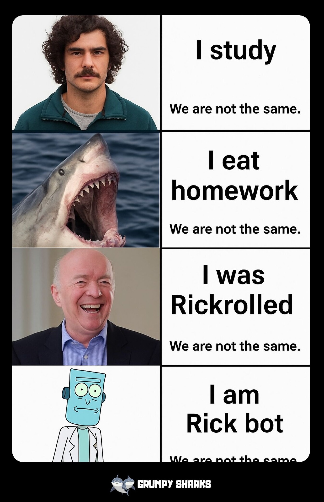 What Is the We Are Not the Same Meme?