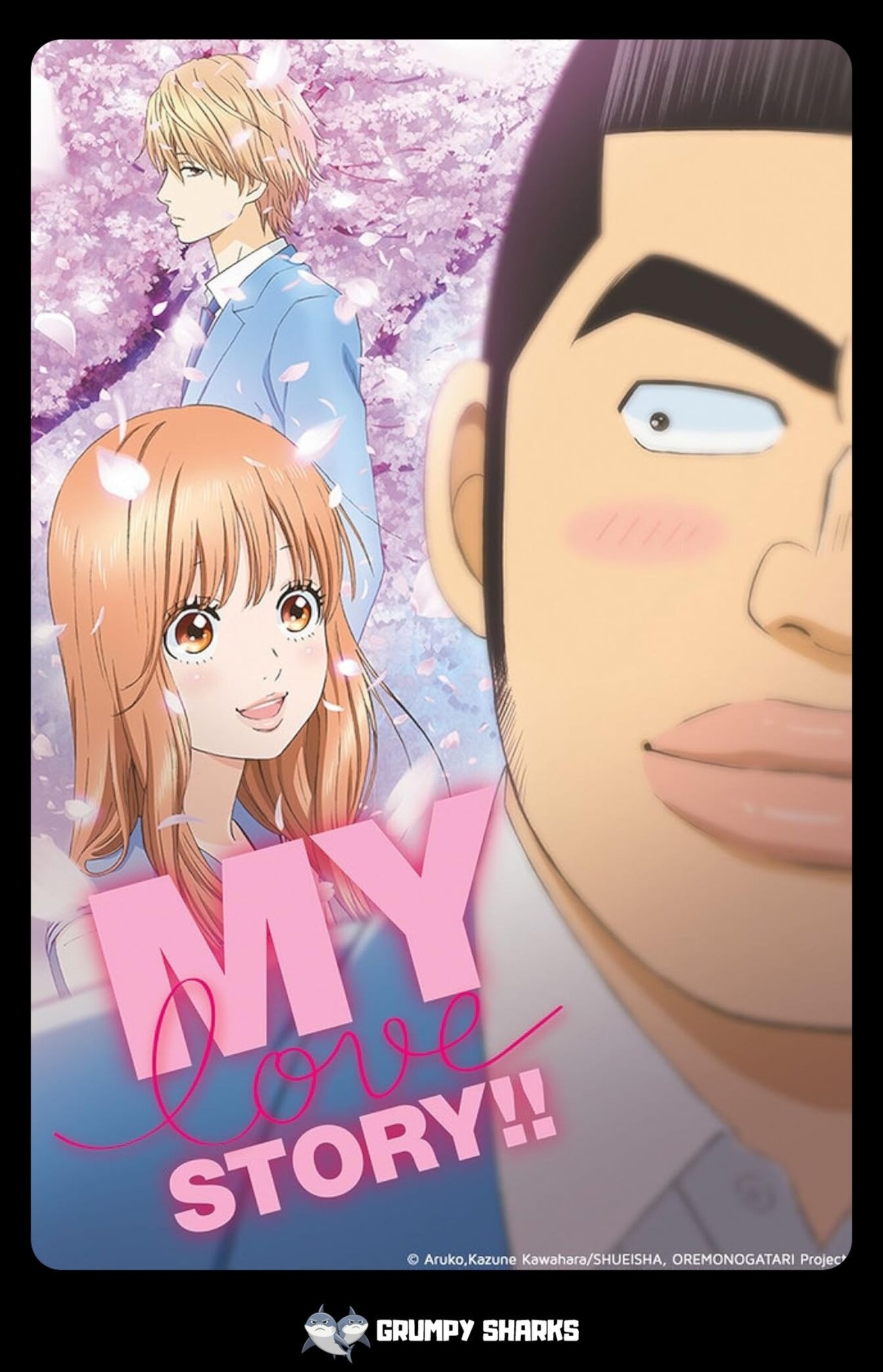 My Love Story!! (Ore Monogatari!!)