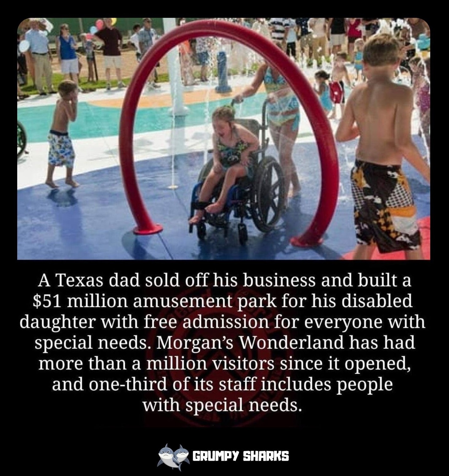 Wholesome Content