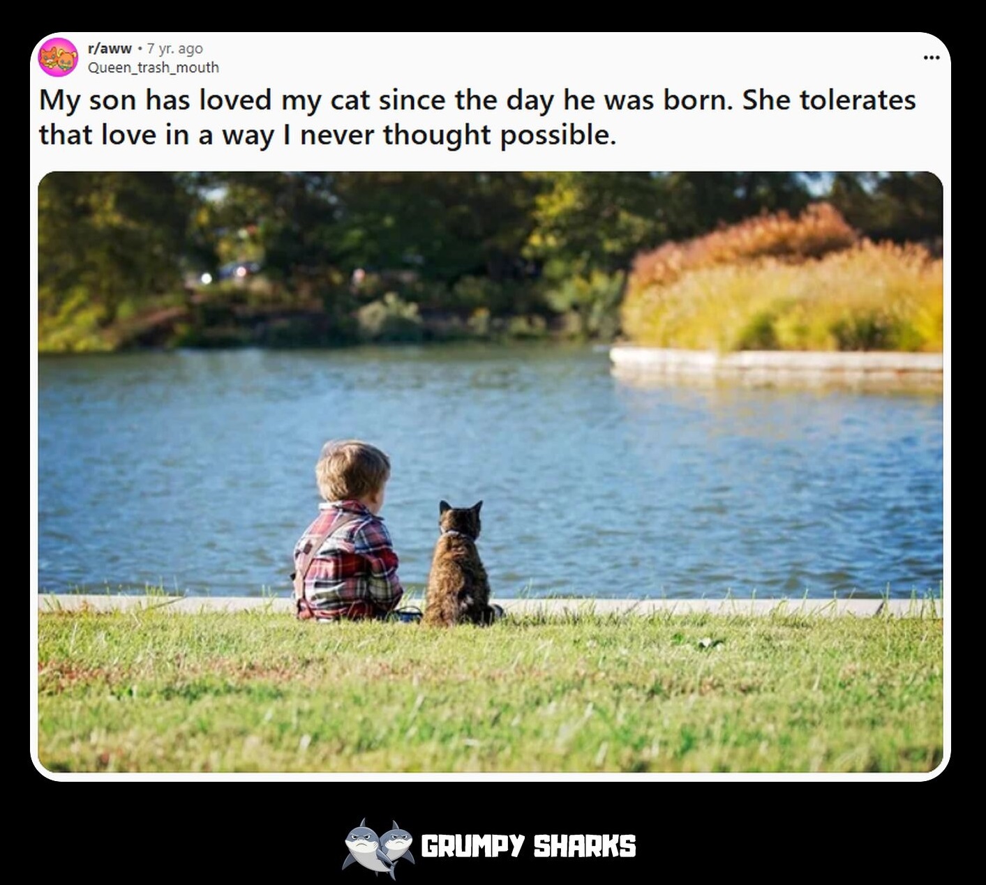 Cute Content