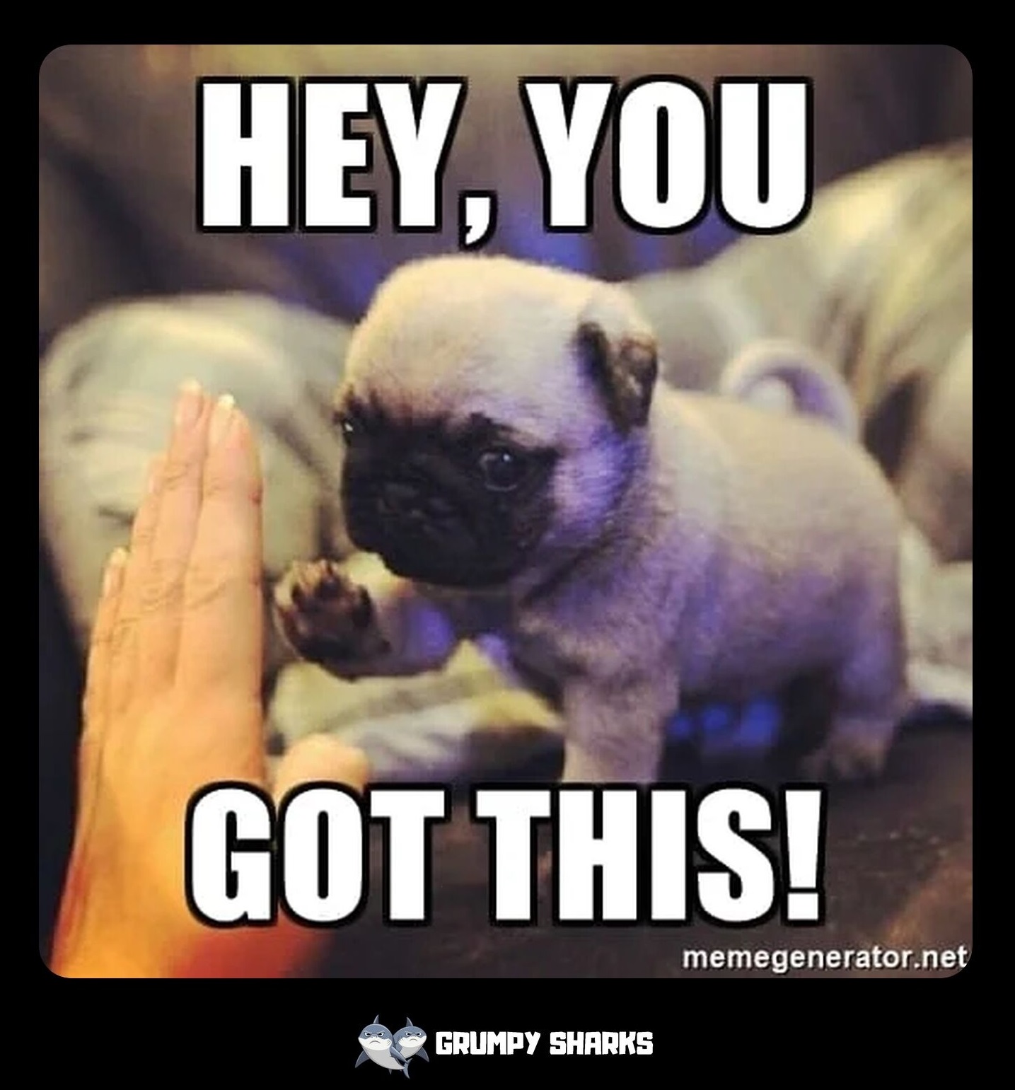 What Is the You Got This Meme?