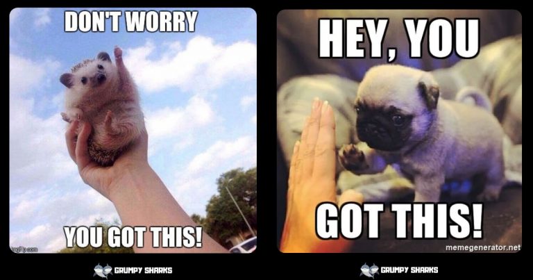 What Is You Got This Meme? Origins, Popularity, and Why It’s a Meme You Need to Know
