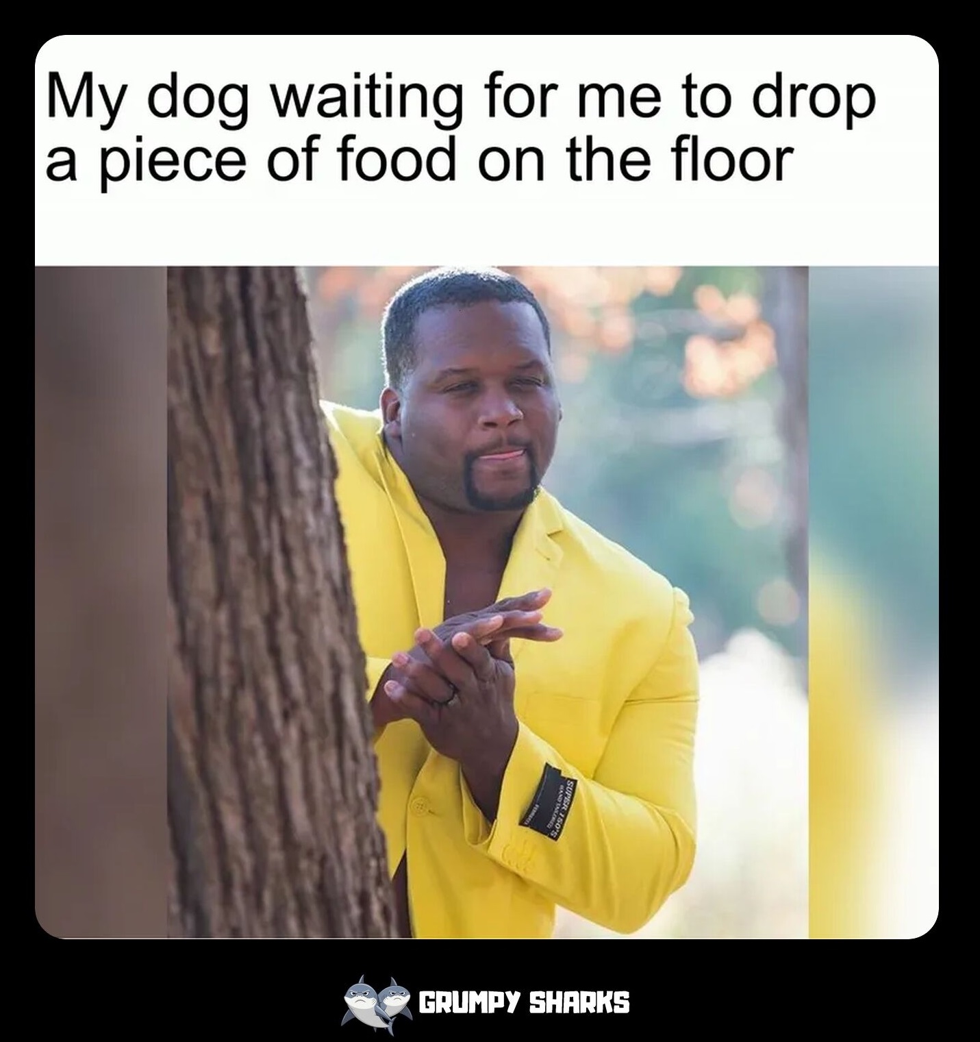 What is the rubbing hands together meme?