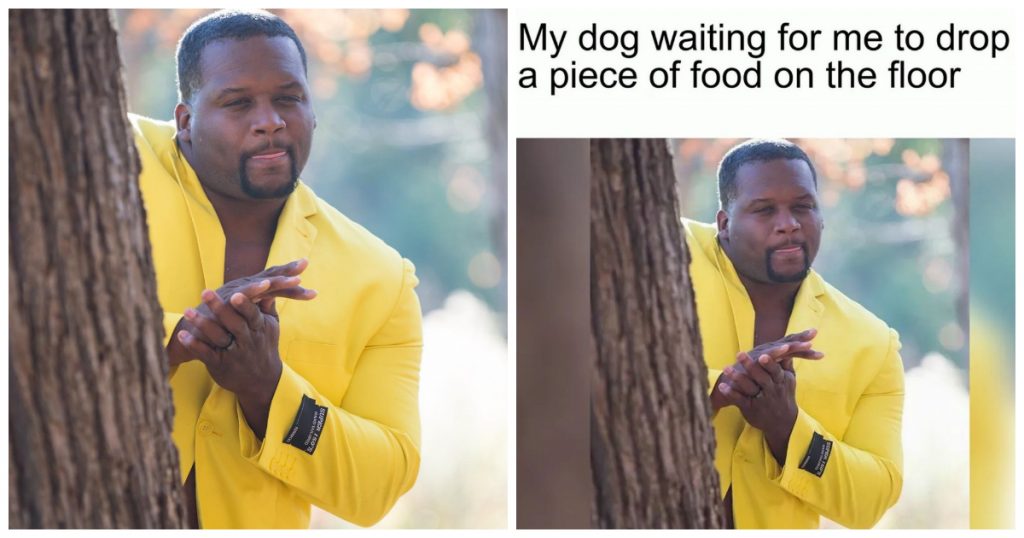 29224