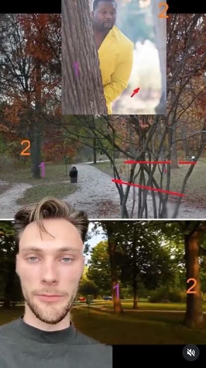 29224 6