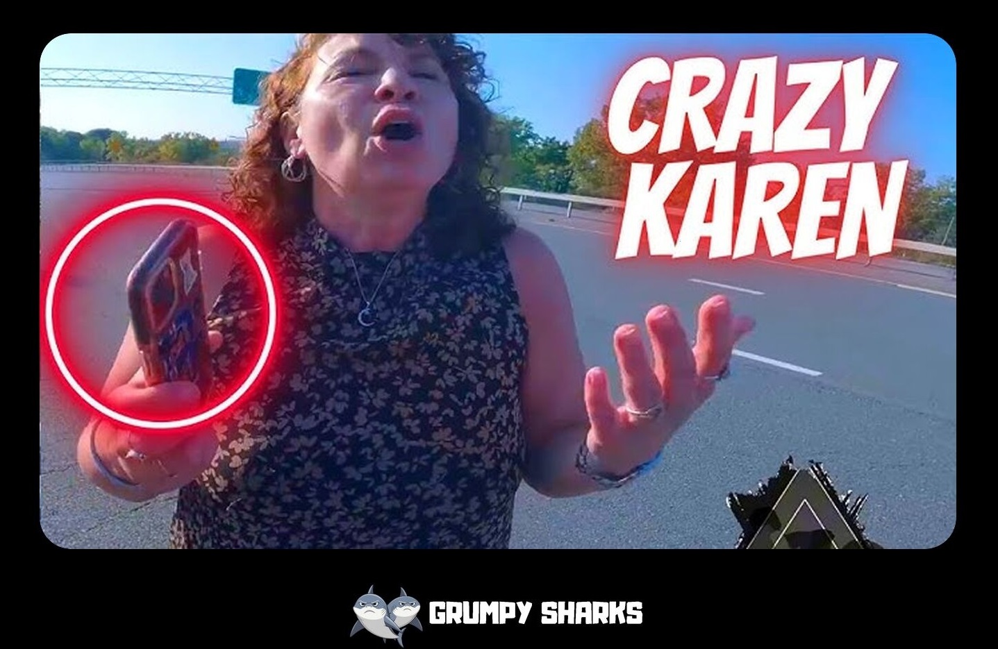 What is a Karen Fail?