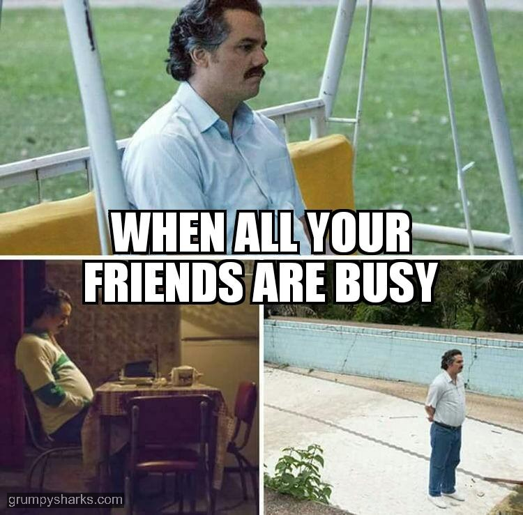 29545 4