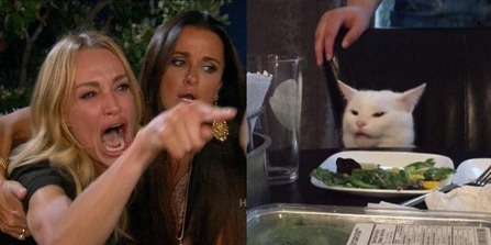 The Story Behind The Woman Yelling At A Cat Meme: From Reality TV To Meme Legend