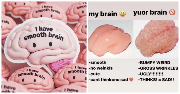 Smooth Brain Meme: Meaning, Origin, and Why It Took Over the Internet