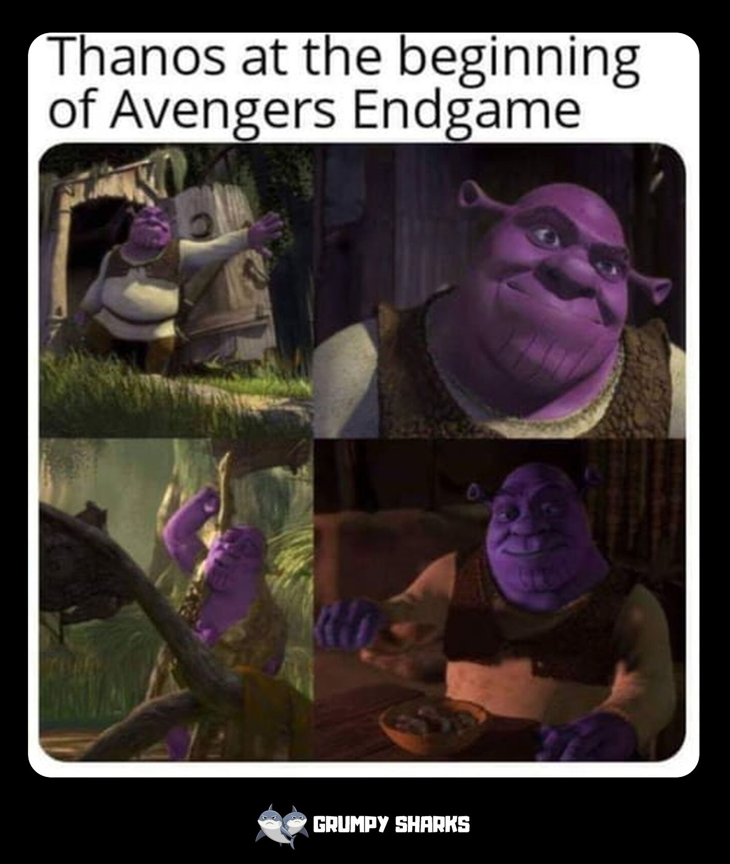 30005 8