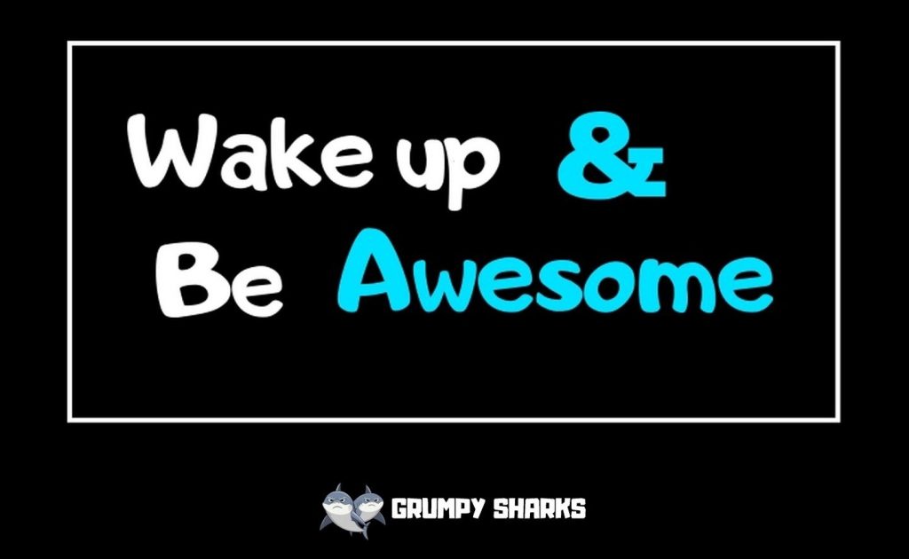 Meta Wake-Up Format