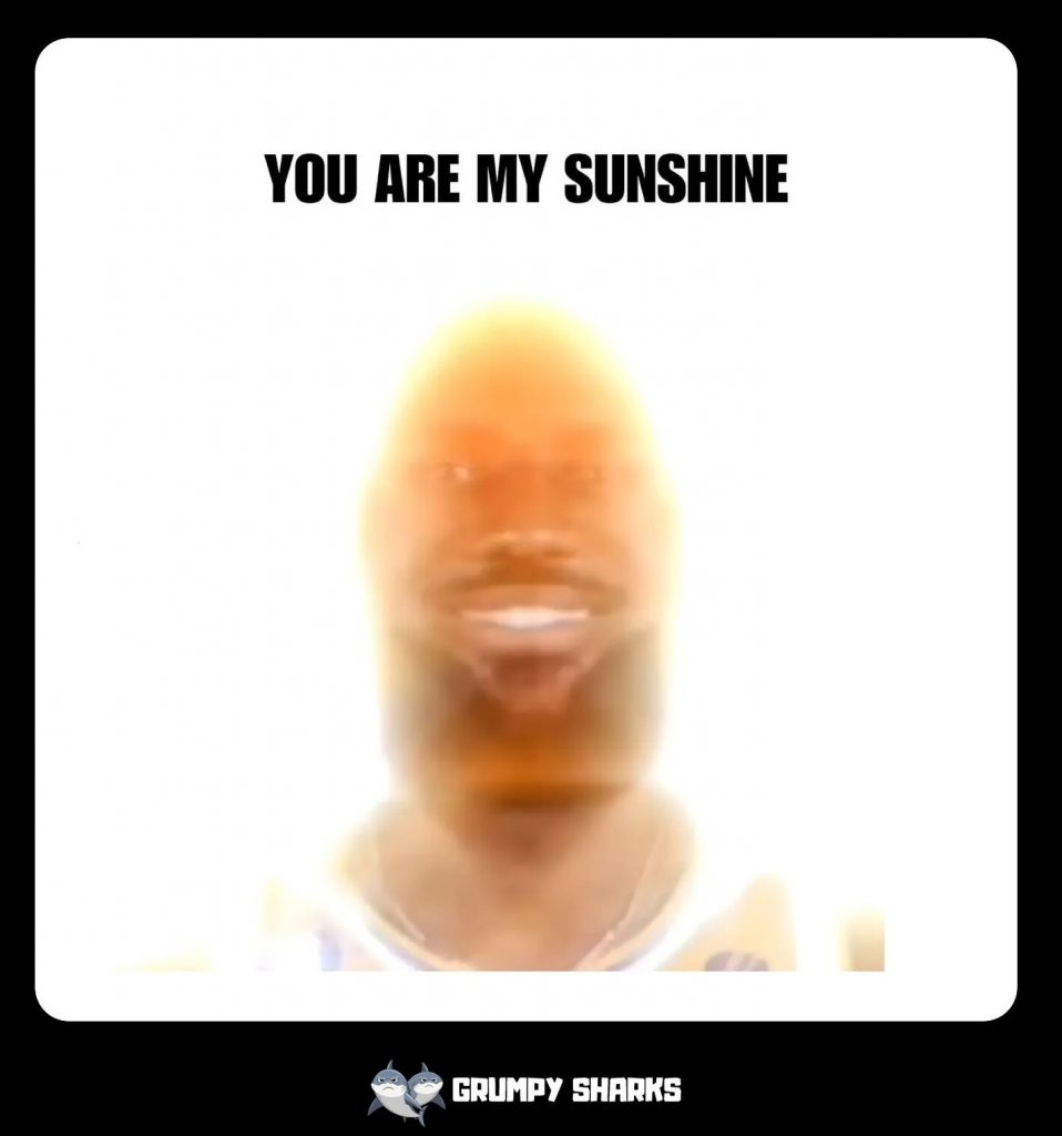 Where did the LeBron You Are My Sunshine meme come from?