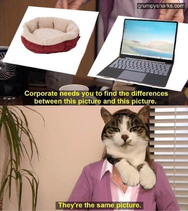 30293 5