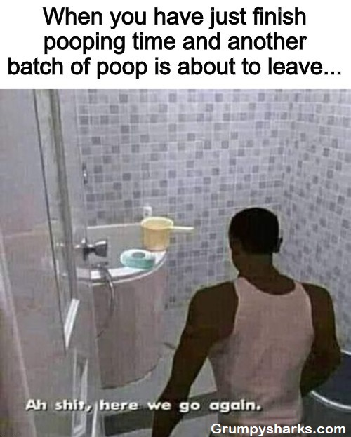 Ah Shit Here We Go Again Meme
