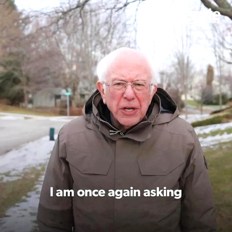Bernie Meme