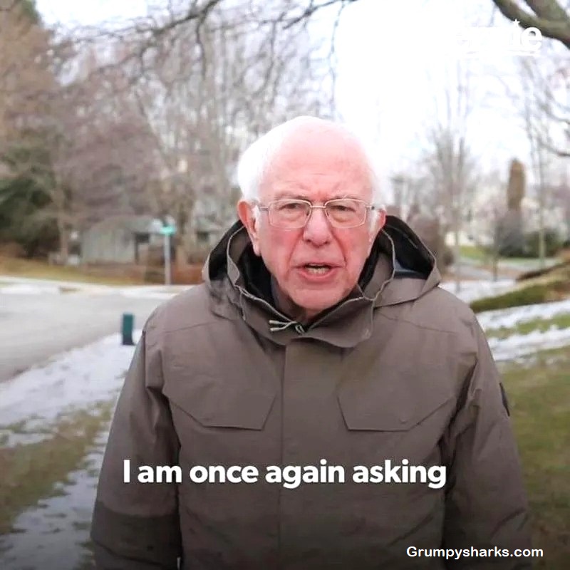 Bernie Meme