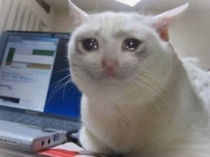 Crying Cat 1