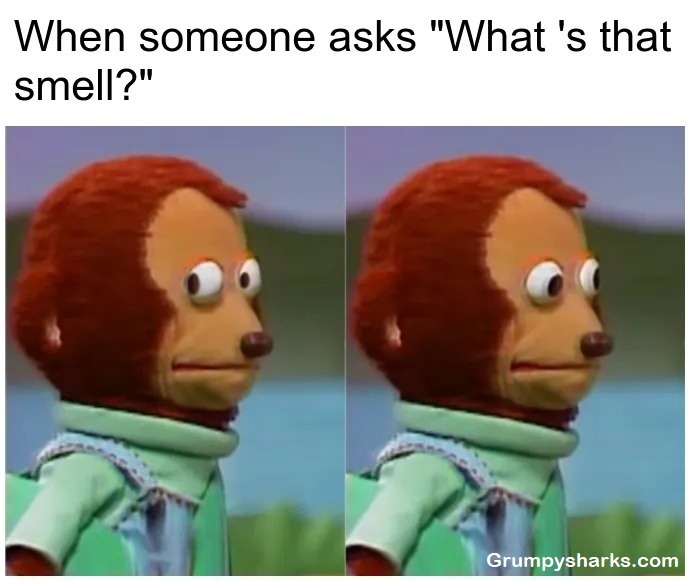 Monkey Meme
