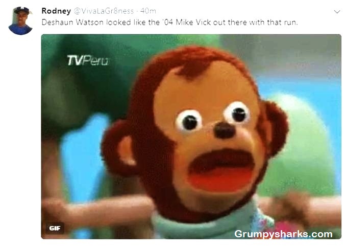 Monkey Meme 3