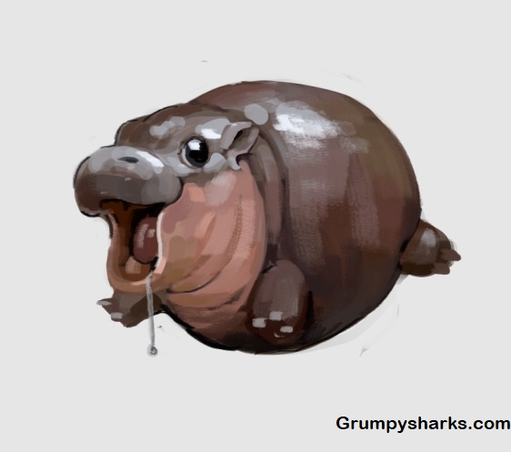 Baby Hippo Meme