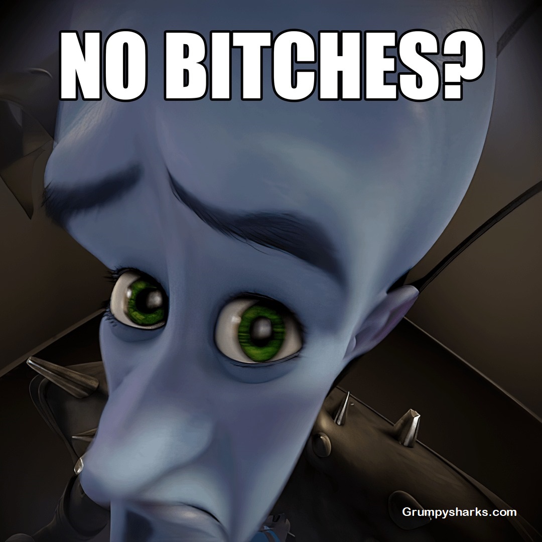 No Bitches meme