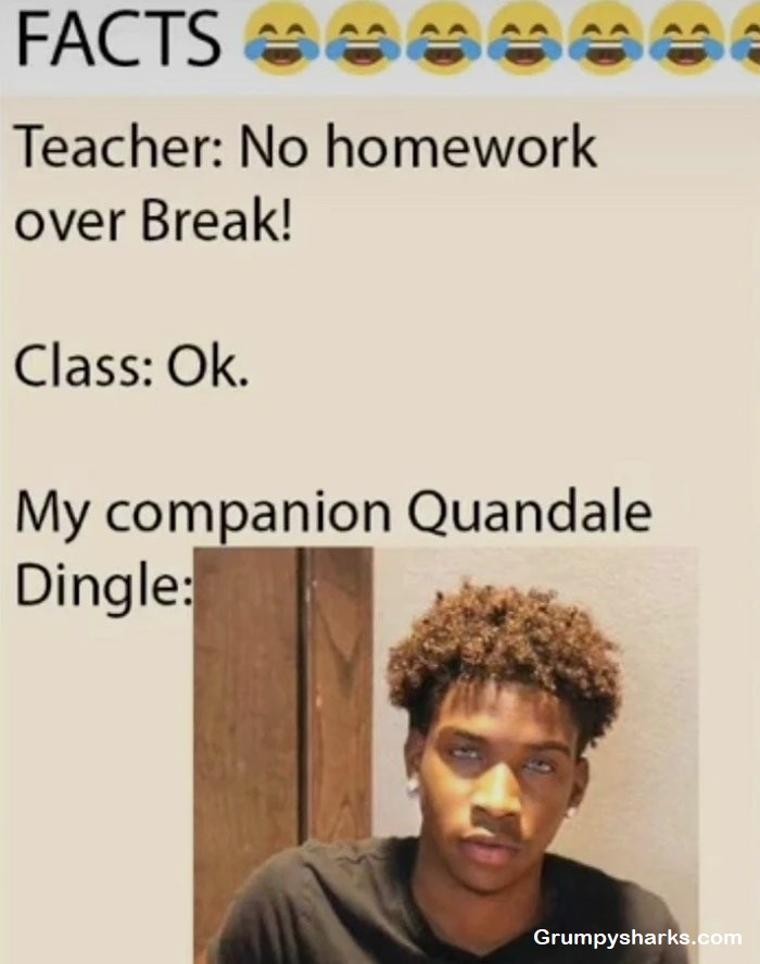 Quandale Dingle Meme