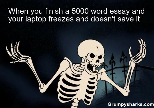 Skeleton Meme 3