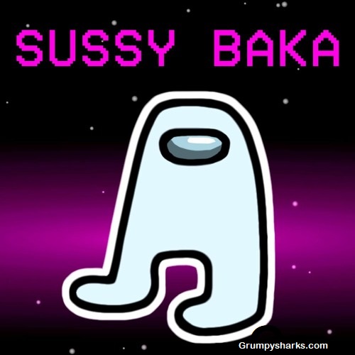Sussy Baka Meme