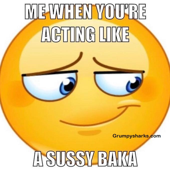Sussy Baka Meme 3