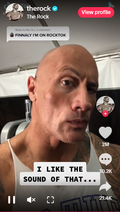 The Rock Meme