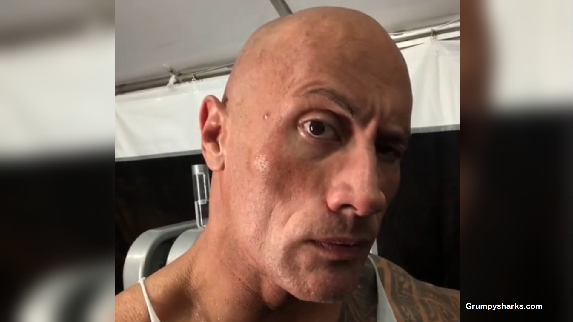 The Rock Meme
