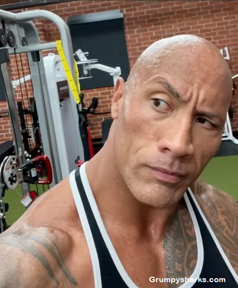 The Rock Meme