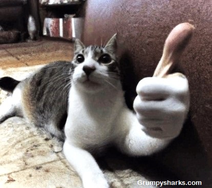 Thumbs Up Meme