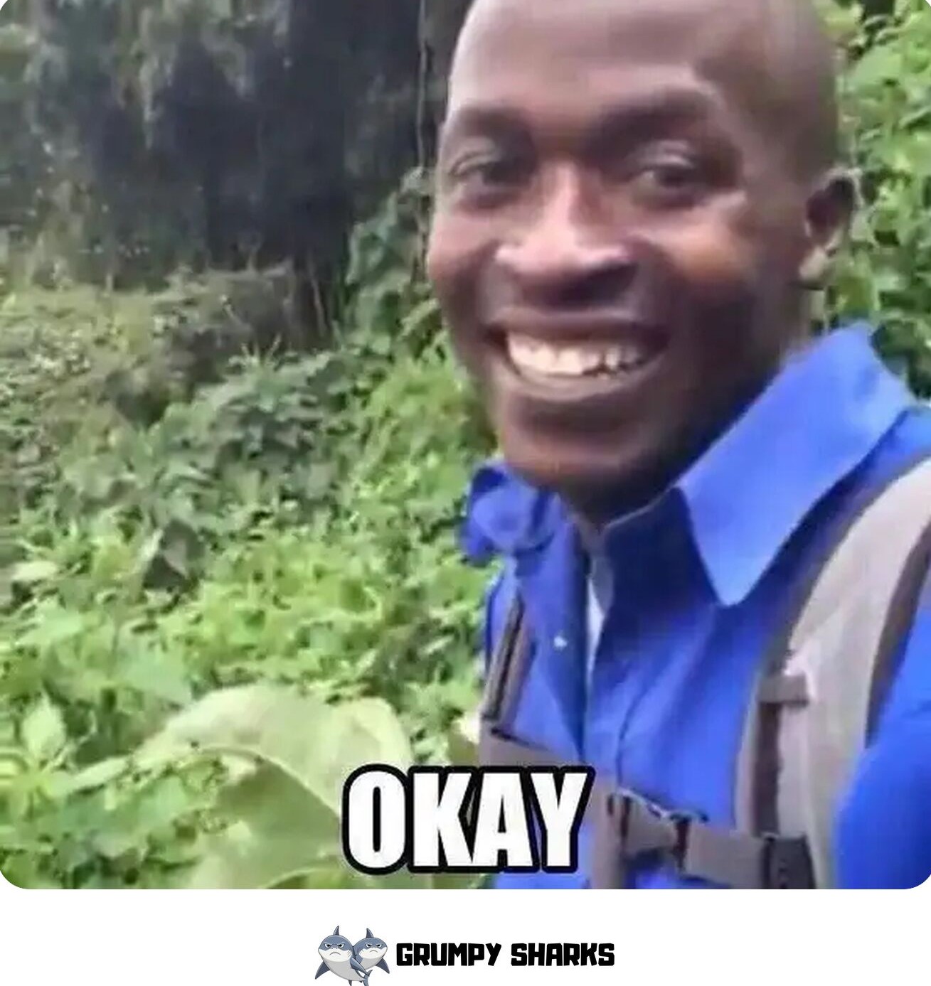  OK Meme