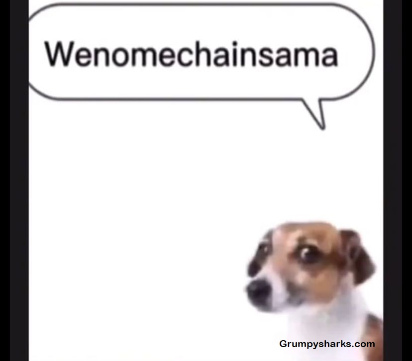 Wenomechainsama Meme