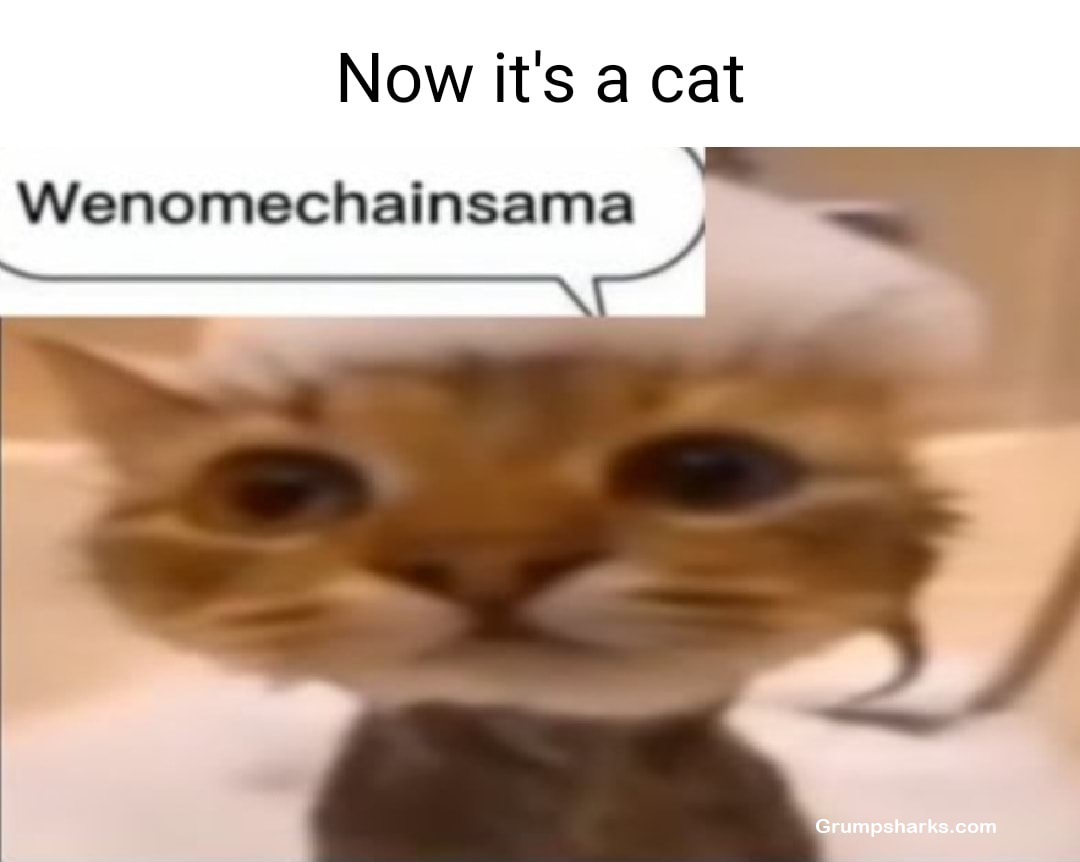 Wenomechainsama Meme