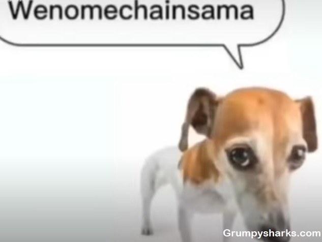 Wenomechainsama Meme
