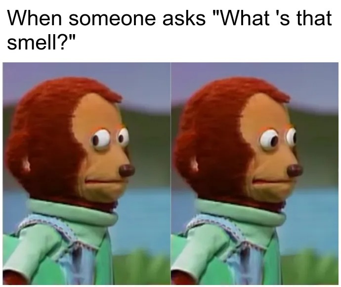Monkey Meme