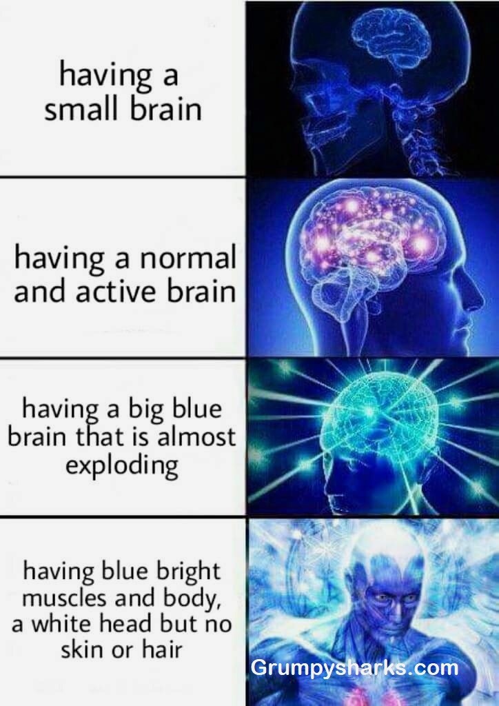 Big Brain meme