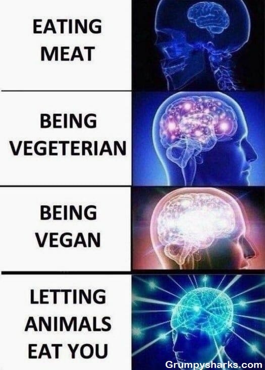Big Brain meme