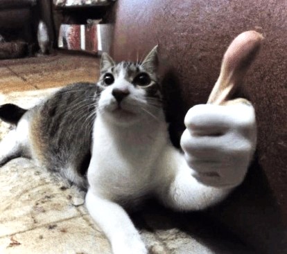 Thumbs Up Meme