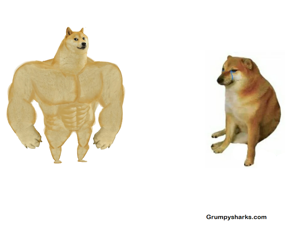  Doge meme