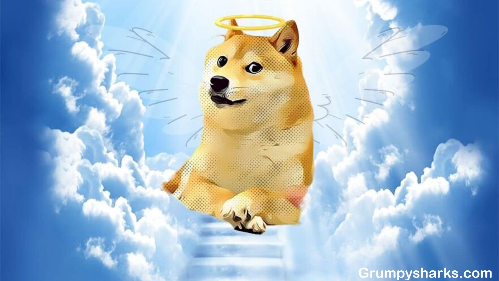  Doge meme