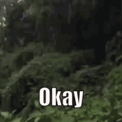 meme