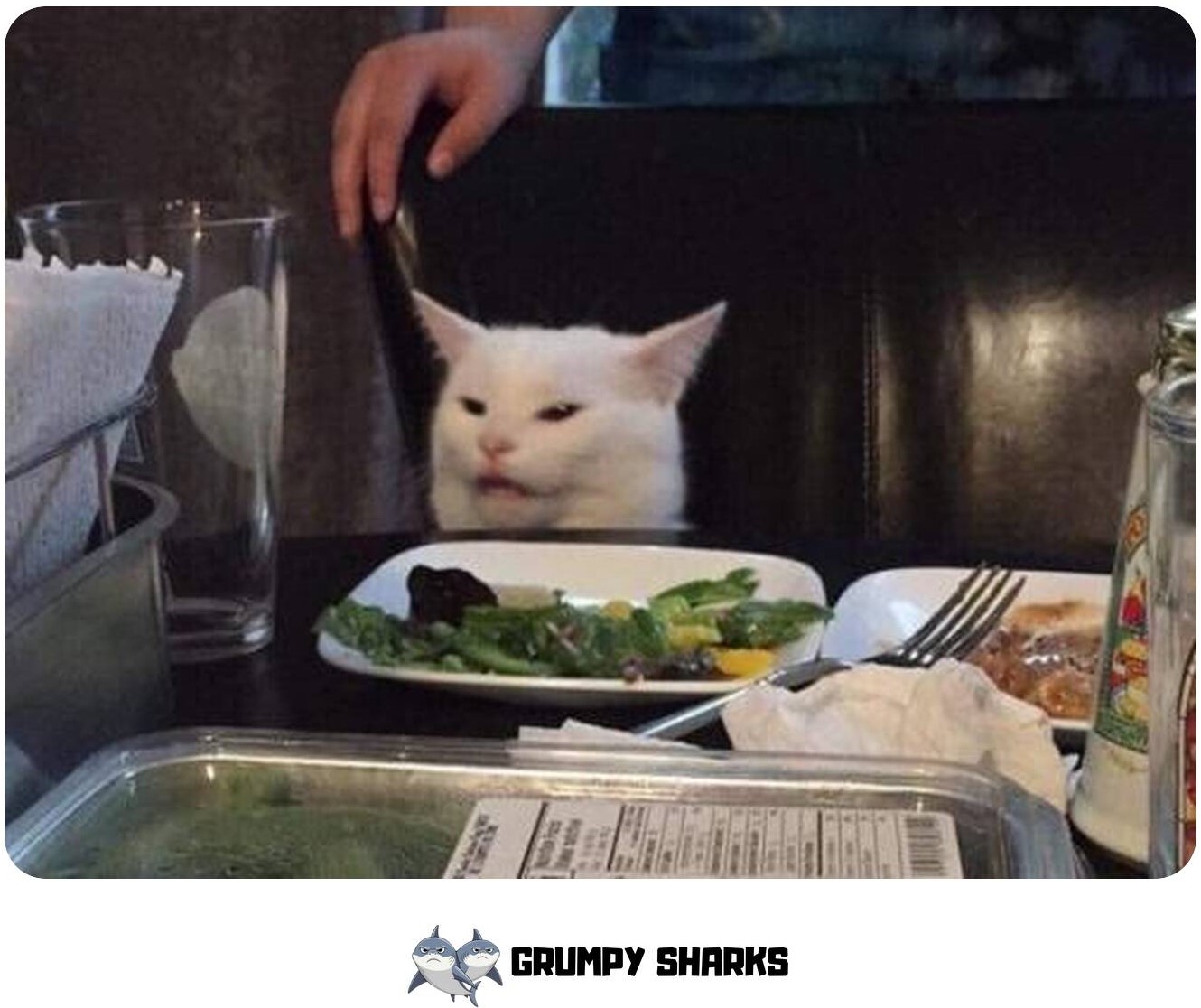 White Cat Meme 