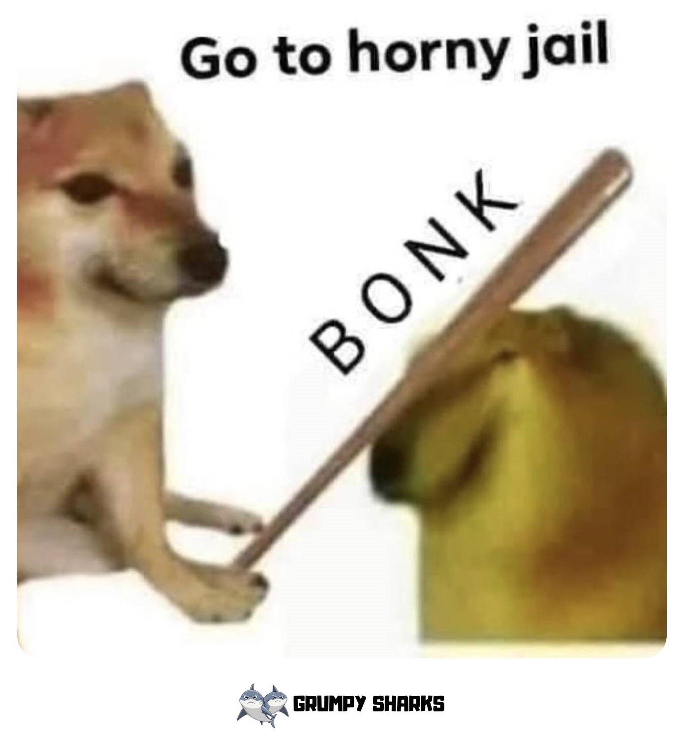 BONK Meme