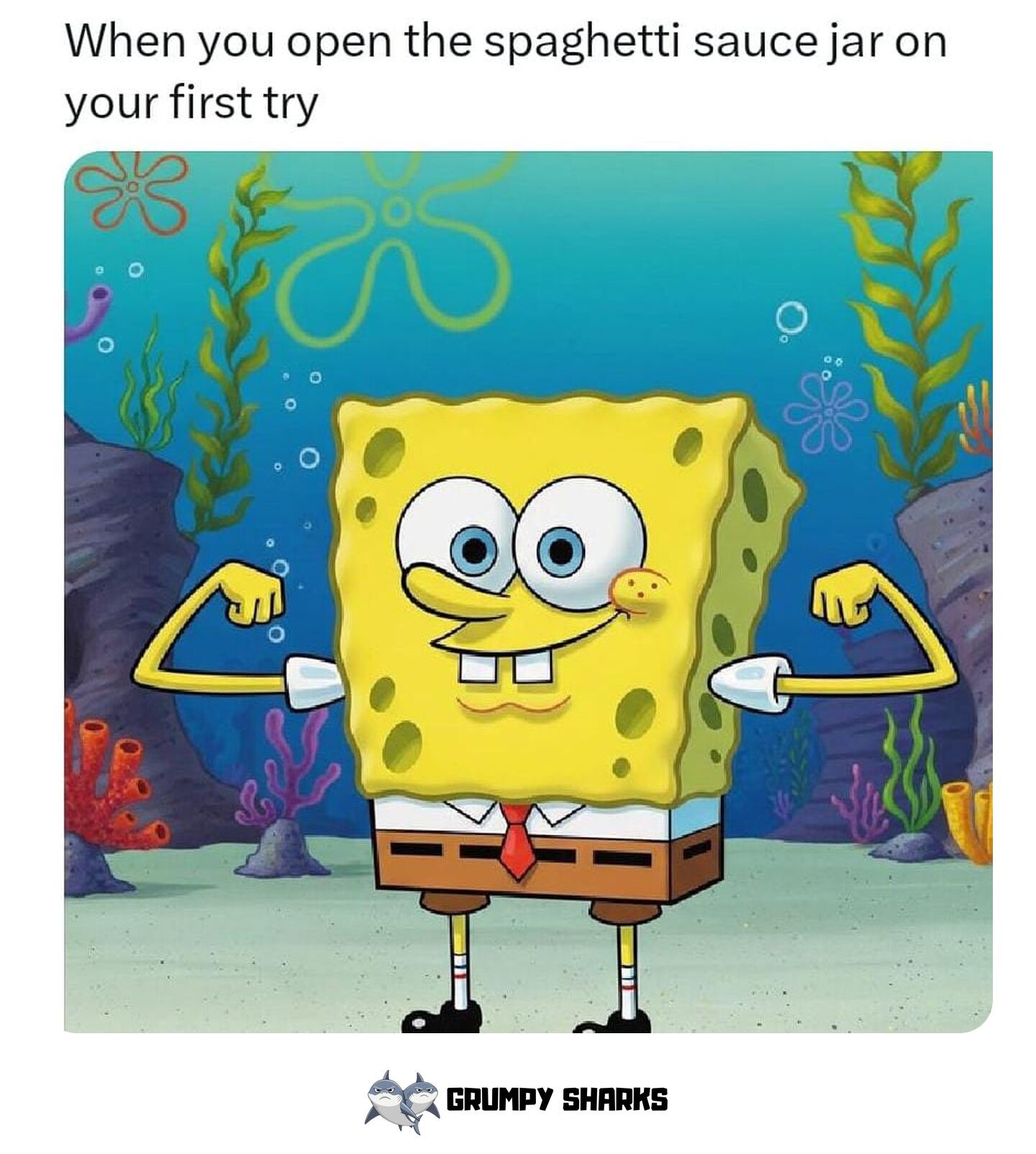meme 685678d4c698f 09423