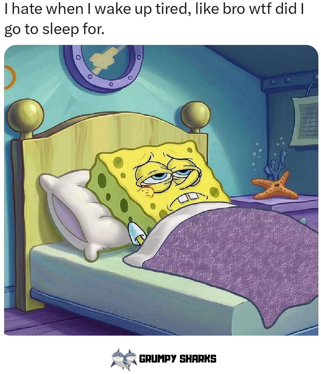SpongeBob Meme