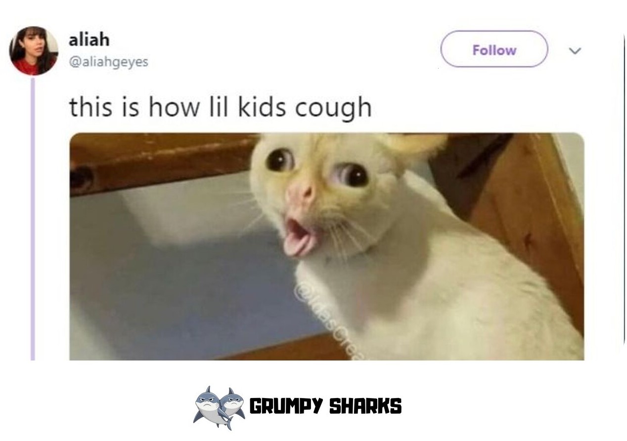 Cat Coughing Meme